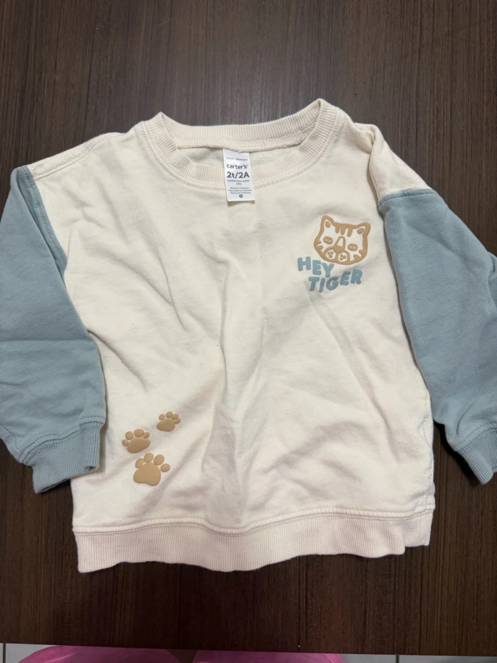Carter’s Boys Sweatshirt and Pants Set